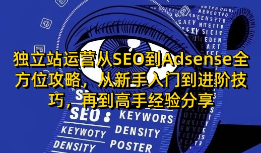 独立站运营从SEO到Adsense全方位攻略，从新手入门到进阶技巧，再到高手经验分享-比子云创