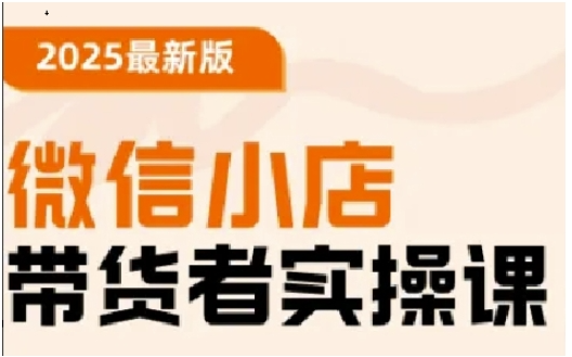 2025最新版微信小店带货者实操课，基础操作到高级运营技巧，快速上手-云网创