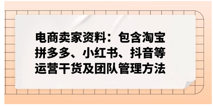 电商卖家资料：包含淘宝、拼多多、小红书、抖音等运营干货及团队管理方法-雨辰网创分享