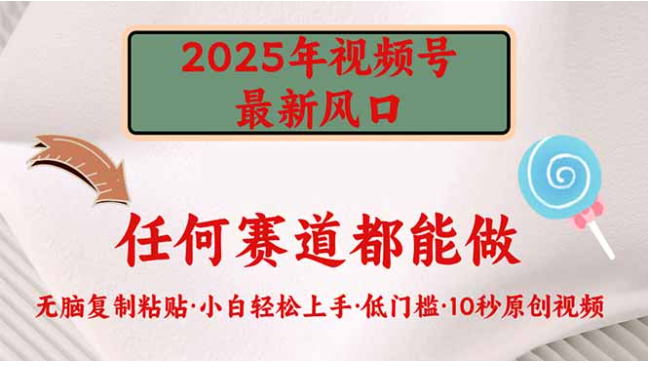 2025年视频号新风口，低门槛只需要无脑执行-柚子网创