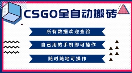 CSGO全自动搬砖,年底钱回家好项目,当天可拿到结果,新手小白轻松月入1W+【揭秘】-智趣阁
