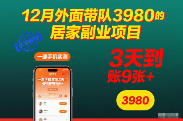 12月外面带队3980的居家副业项目，一部手机实测3天到账9张+，首发教程【揭秘】-清风网创