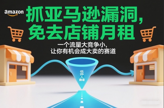 抓亚马逊漏洞,免去店铺月租,一个流量大竞争小,让你有机会成大卖的赛道-云网创