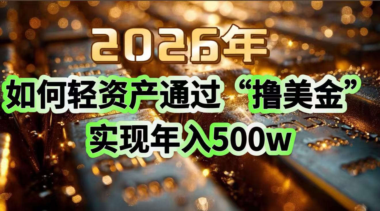 2026年如何轻资产通过“撸美金”实现年入500w-智壹网创