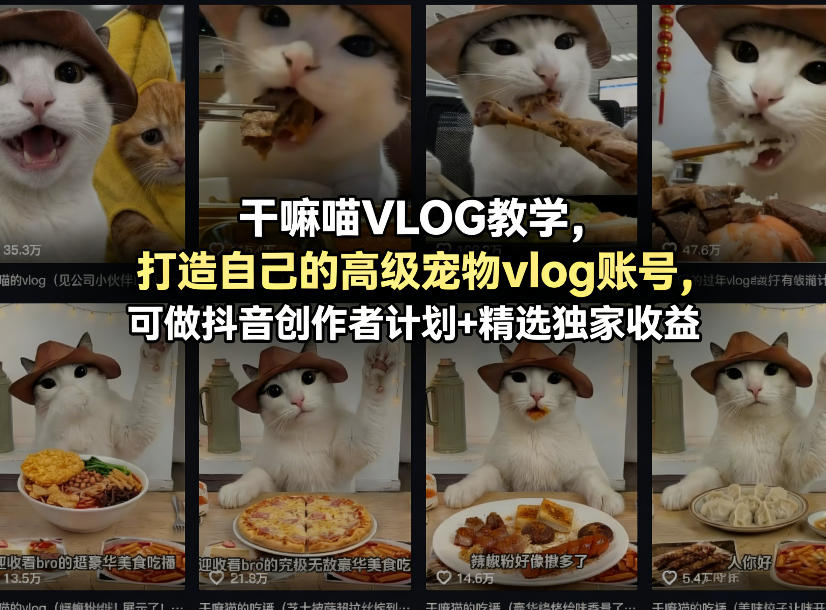 干嘛喵VLOG教学,打造自己的高级宠物vlog账号,可做抖音创作者计划+精选独家收益-启云分享