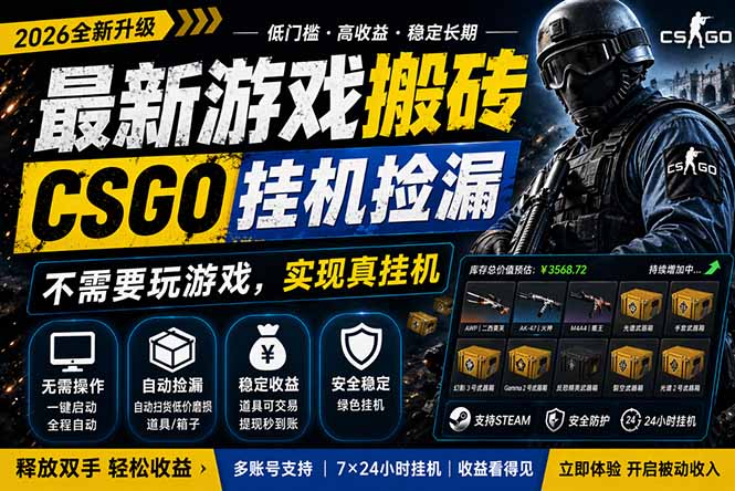 最新游戏搬砖，CSGO纯挂机，不需要玩游戏，实现真挂机，月入1W+，五一小高峰上车可吃肉，…-清风网创