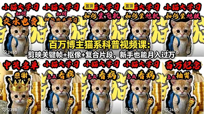 百万博主猫系科普视频课:剪映关键帧+抠像+复合片段,新手也能月入过万-优优云网创