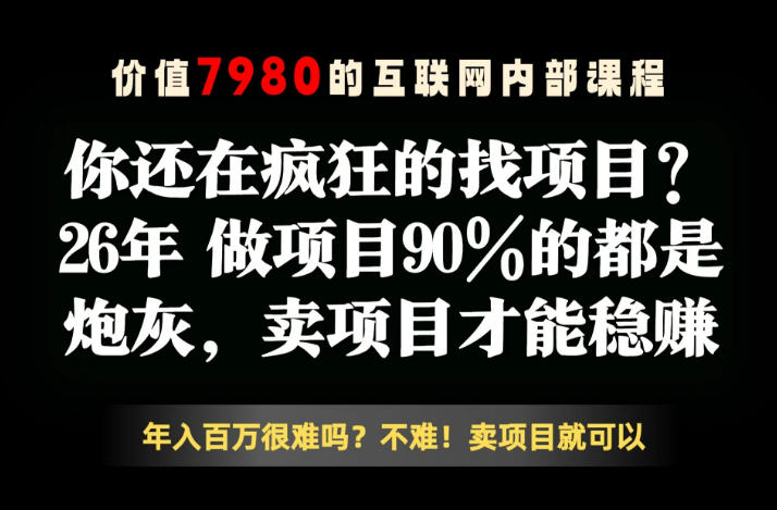 26年请不要疯狂的找项目了，卖项目远比你想象的暴利，你也可以月入10W+【揭秘】-清风网创