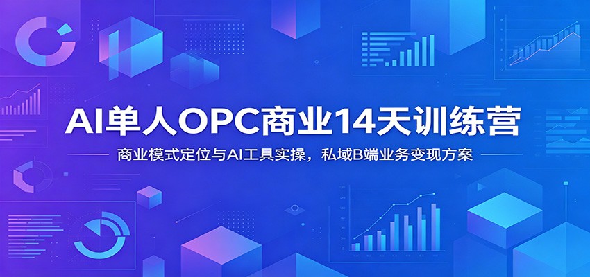 AI单人OPC商业14天训练营:商业模式定位与AI工具实操,私域B端业务变现方案-青禾云网创