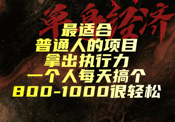 最适合普通人的项目,拿出执行力一个人每天搞个800-1k很轻松【揭秘】-云网创
