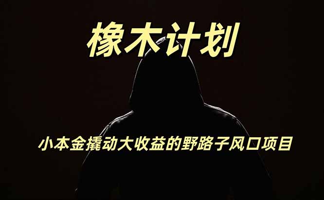 橡木计划,小投入撬动高回报的风口野路子项目,一天投入2小时左右-先创学社