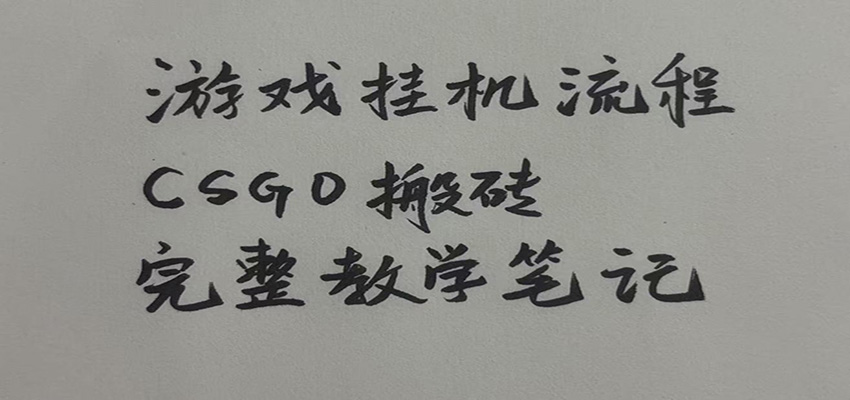 游戏挂机全流程笔记分享,CSGO游戏搬砖,小白看了当天学会见收益-自由人网创