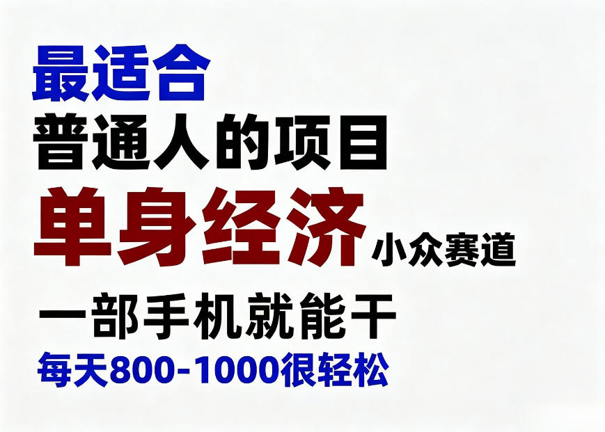身经济小众赛道,一部手机就能干,每天搞个800-1000很轻松,最适合普通人的项目【揭秘】-云网创