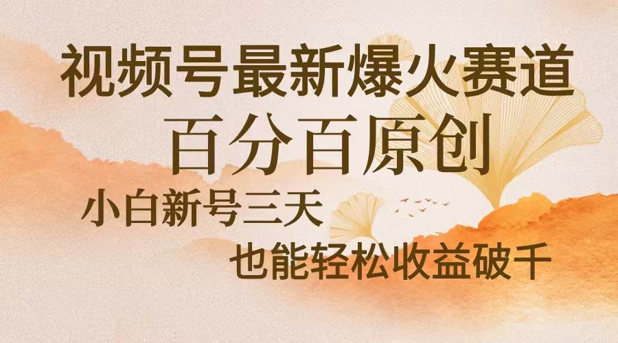 （13225期）视频号最新爆火赛道，中老年粉深信不疑，百分百原创，新号三天收益轻松…-创云分享创云网创