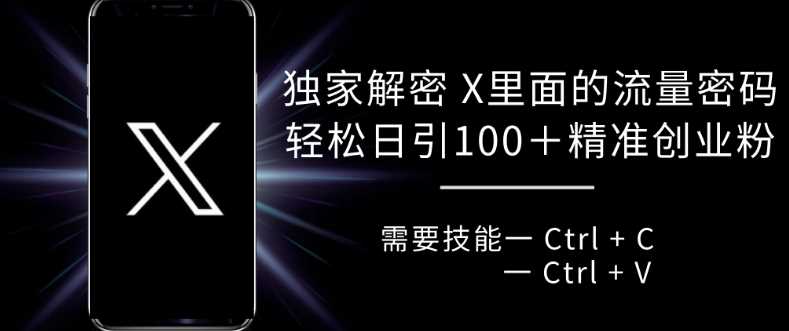 独家解密 X 里面的流量密码，复制粘贴轻松日引100+-亿云网创