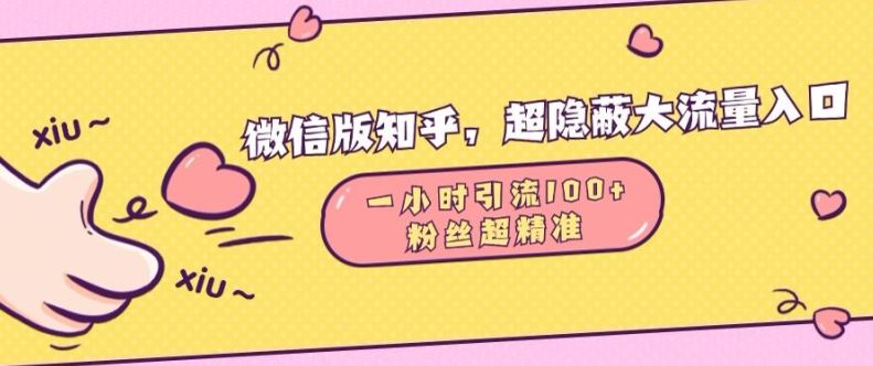 微信版知乎，超隐蔽流量入口1小时引流100人，粉丝质量超高【揭秘】-创云分享创云网创