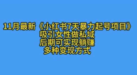 K总部落11月最新小红书7天暴力起号项目，吸引女性做私域【揭秘】-雨辰网创分享