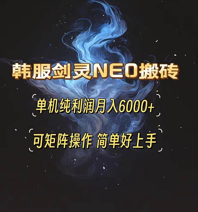 （13435期）韩服剑灵NEO搬砖攻略，单机纯利润月入6000+ 可矩阵操作，简单好上手。-优优云网创