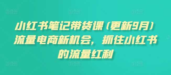 小红书笔记带货课(更新11月)流量电商新机会，抓住小红书的流量红利-八一网创分享