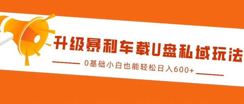 升级暴利车载U盘私域玩法，0基础小白也能轻松日入多张【揭秘】-启点工坊