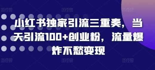 小红书独家引流三重奏，当天引流100+创业粉，流量爆炸不愁变现【揭秘】-亿云网创