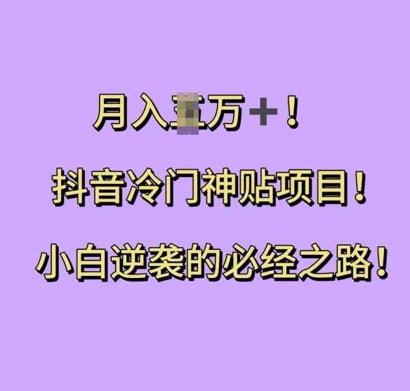 抖音冷门神贴项目，小白逆袭的必经之路，月入过W【揭秘】-亿云网创