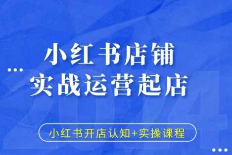 小红书店铺实战运营起店，小红书开店认知+实操课程-雨辰网创分享