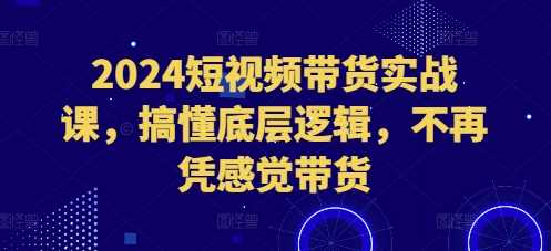 2024短视频带货实战课，搞懂底层逻辑，不再凭感觉带货-亿云网创