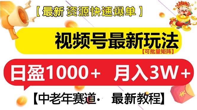 （13530期）视频号最新玩法 中老年赛道 月入3W+-优优云网创