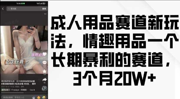 成人用品赛道新玩法，情趣用品一个长期暴利的赛道，3个月收益20个【揭秘】-创云分享创云网创