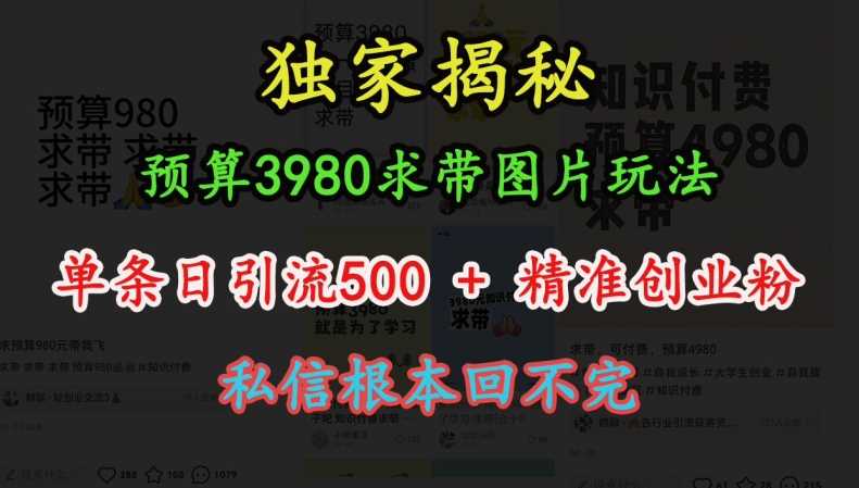 预算3980求带 图片玩法，单条日引流500+精准创业粉，私信根本回不完-启点工坊