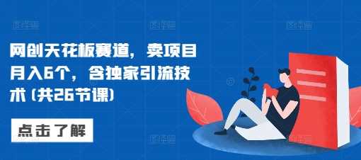 网创天花板赛道，卖项目月入6个，含独家引流技术(共26节课)-亿云网创