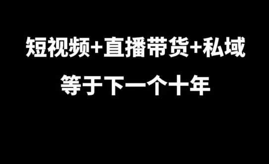 短视频+直播带货+私域等于下一个十年，大佬7年实战经验总结-大蚂蚁网创分享大蚂蚁网创