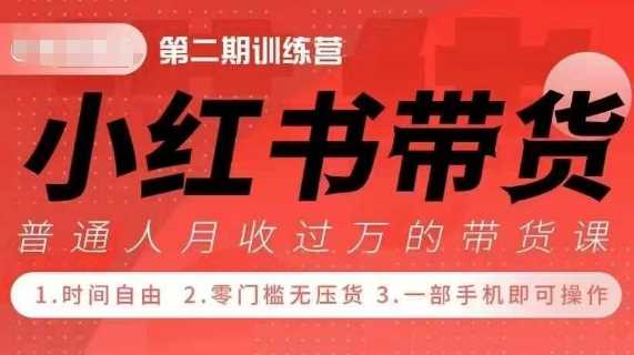 小Red书带货42天训练营 2.0版，宝妈+自由职+上班族+大学生，提高副业收入的大红利项目-雨辰网创分享