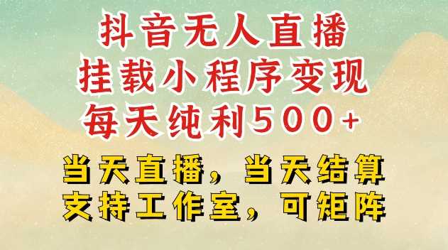 抖音无人直播挂载小程序变现每天纯利500+当天直播，当天结算支持工作室，可矩阵【揭秘】-启点工坊