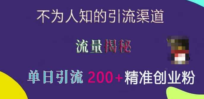 不为人知的引流渠道，流量揭秘，实测单日引流200+精准创业粉【揭秘】-雨辰网创分享