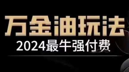 2024最牛强付费，万金油强付费玩法，干货满满，全程实操起飞（更新12月）-雨辰网创分享