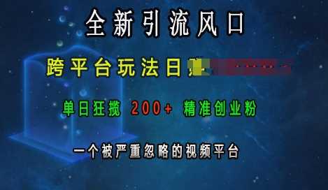 全新引流风口，跨平台玩法日入上k，单日狂揽200+精准创业粉，一个被严重忽略的视频平台-雨辰网创分享