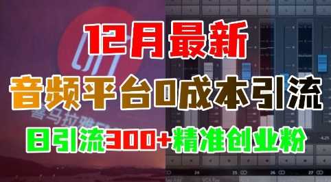 12月最新：音频平台0成本引流，日引流300+精准创业粉-优优云网创