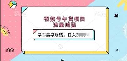 视频号年货项目，流量贼猛，早布局早挣钱，日入上k【揭秘】-大蚂蚁网创分享大蚂蚁网创