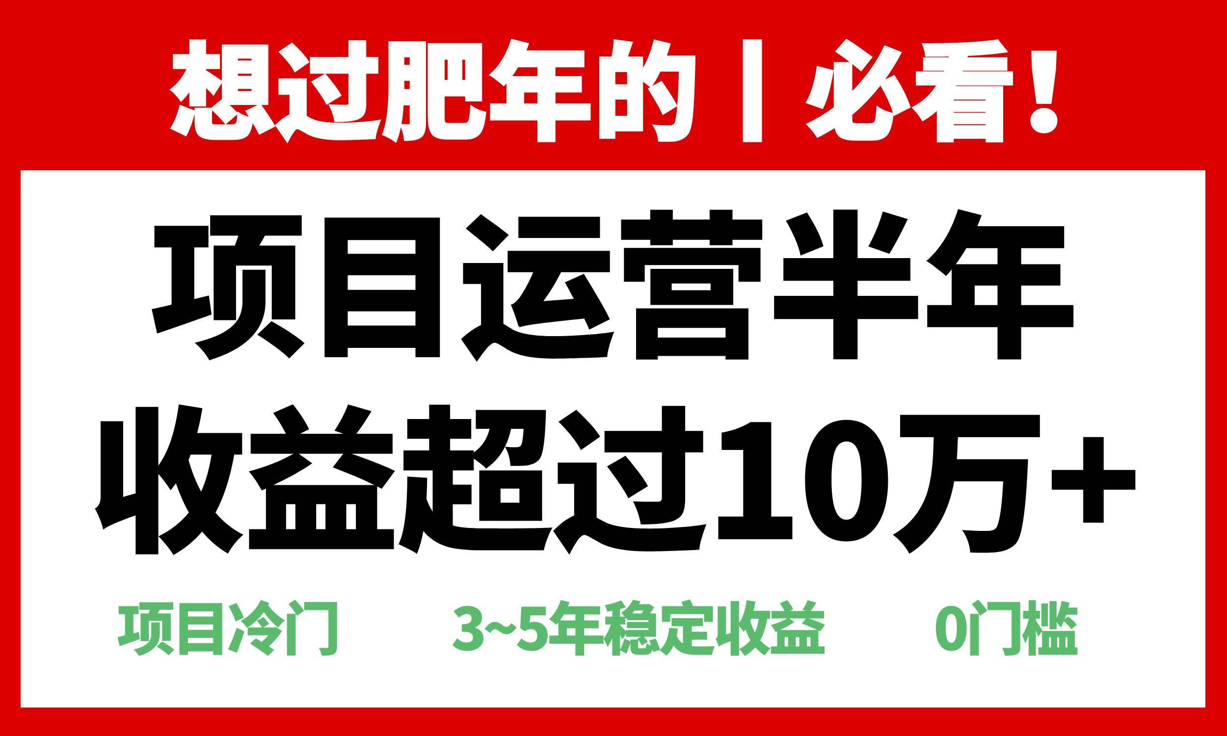 （13663期）年前过肥年的必看的超冷门项目，半年收益超过10万+，-优优云网创