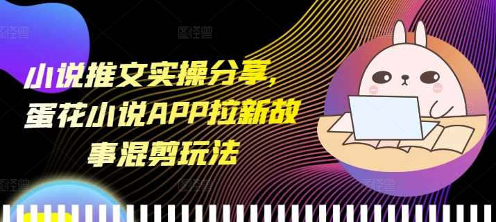 小说推文实操分享，蛋花小说APP拉新故事混剪玩法-优优云网创