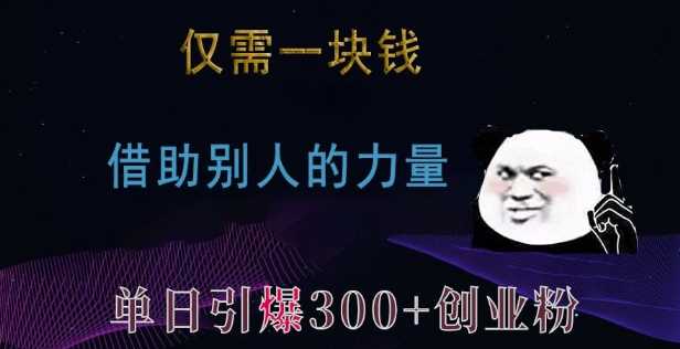 仅需一块钱，借助别人的力量，单日引爆300+创业粉、兼职粉【揭秘】-亿云网创