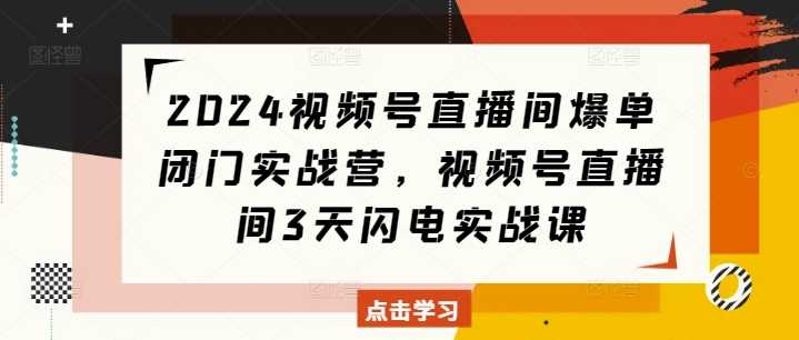 2024视频号直播间爆单闭门实战营，视频号直播间3天闪电实战课-优优云网创