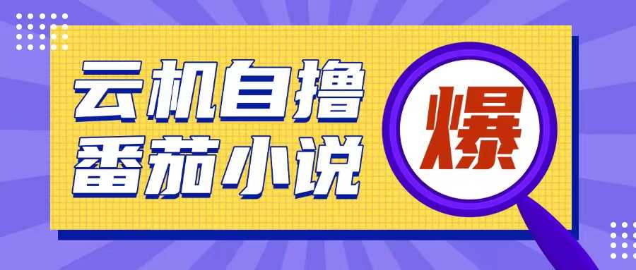 首发云手机自撸小说玩法，10块钱成本可撸200+收益操作简单【揭秘】-优优云网创