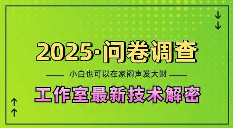 2025问卷调查最新工作室技术解密：一个人在家也可以闷声发大财，小白一天2张，可矩阵放大【揭秘】-亿云网创