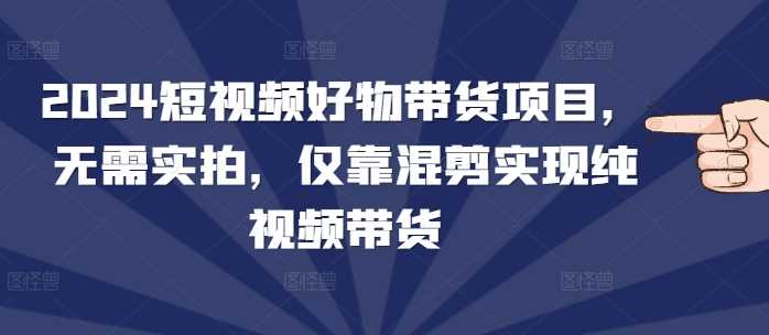 2024短视频好物带货项目，无需实拍，仅靠混剪实现纯视频带货-优优云网创