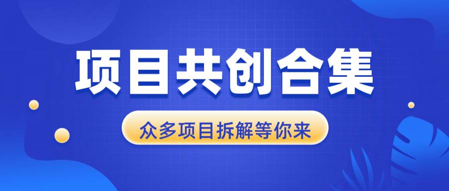 （13778期）项目共创合集，从0-1全过程拆解，让你迅速找到适合自已的项目-优优云分享