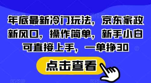 年底最新冷门玩法，京东家政新风口，操作简单，新手小白可直接上手，一单挣30【揭秘】-雨辰网创分享