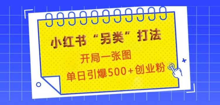 小红书“另类”打法，开局一张图，单日引爆500+精准创业粉【揭秘】-优优云网创